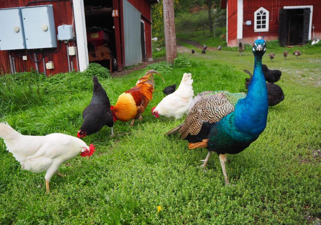 Haeradssaetter Gard 1 Vendégház Valdemarsvik Kültér fotó